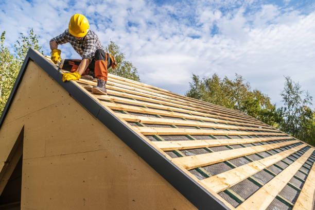 Best Roof Gutter Cleaning  in Clinton, KY
