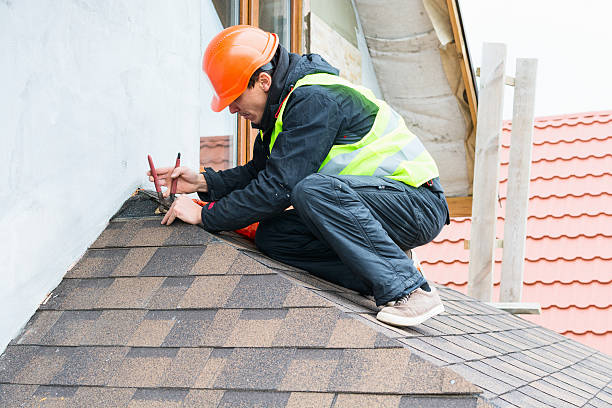 Best Storm Damage Roof Repair  in Clinton, KY