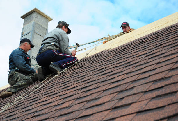 Best Emergency Roof Repair  in Clinton, KY